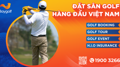 8월 골프 부킹 가격 정보 (BayGolf)